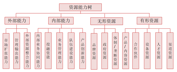 企業(yè)資源與能力分析 企業(yè)資源與能力分析