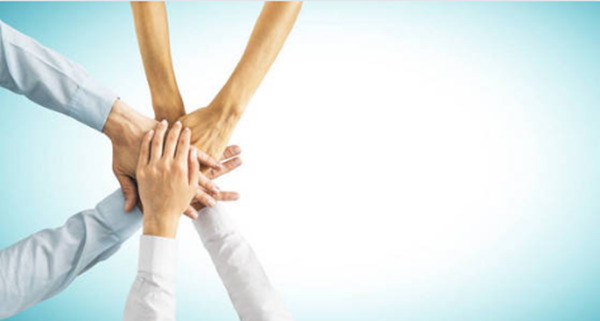 企業(yè)戰(zhàn)略聯(lián)盟的作用 企業(yè)戰(zhàn)略聯(lián)盟的作用