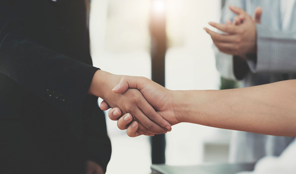 集團管控的核心要素：策略，協(xié)同，風(fēng)險與合規(guī)