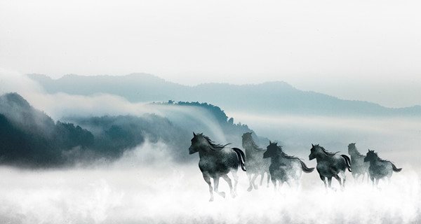 企業(yè)戰(zhàn)略規(guī)劃：為企業(yè)制定全面、長遠(yuǎn)的發(fā)展戰(zhàn)略