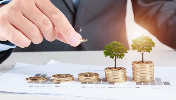 戰(zhàn)略選擇:根據(jù)市場環(huán)境選擇戰(zhàn)略方向和發(fā)展路徑 戰(zhàn)略選擇:根據(jù)市場環(huán)境選擇戰(zhàn)略方向和發(fā)展路徑