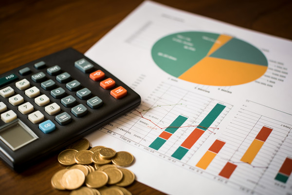 強(qiáng)化集團(tuán)管控：財務(wù)，人力資源，信息技術(shù)的整合