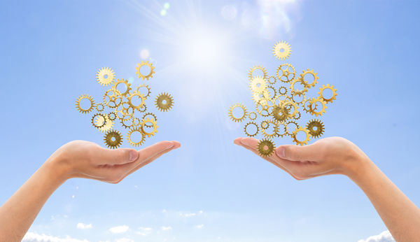 多品牌戰(zhàn)略：協(xié)同作戰(zhàn)，共創(chuàng)輝煌