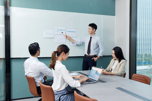 風險控制：預(yù)防和應(yīng)對潛在風險，確保戰(zhàn)略穩(wěn)健