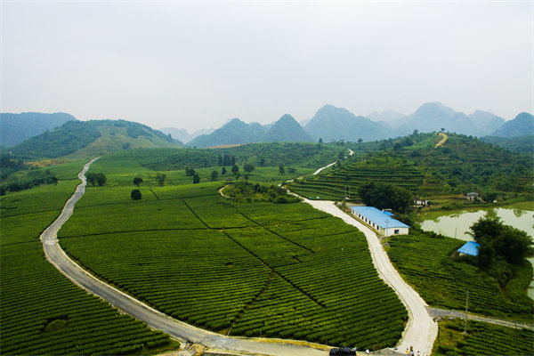 清遠(yuǎn)營(yíng)銷(xiāo)咨詢公司深挖需求，如何為品牌打造直擊消費(fèi)痛點(diǎn)的賣(mài)點(diǎn)？