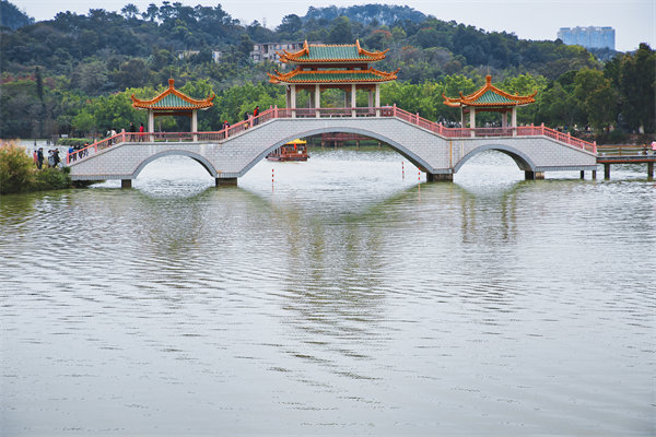 供應(yīng)鏈斷鏈頻發(fā)、交付延遲嚴重，肇慶供應(yīng)鏈咨詢公司能解嗎？