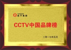 揚(yáng)子獲得CCTV中國(guó)品牌榜 揚(yáng)子獲得CCTV中國(guó)品牌榜