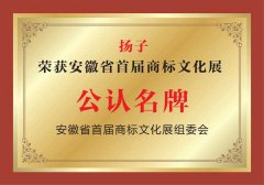 揚(yáng)子榮獲安徽省首屆商標(biāo)文化展公認(rèn)品牌 揚(yáng)子榮獲安徽省首屆商標(biāo)文化展公認(rèn)品牌